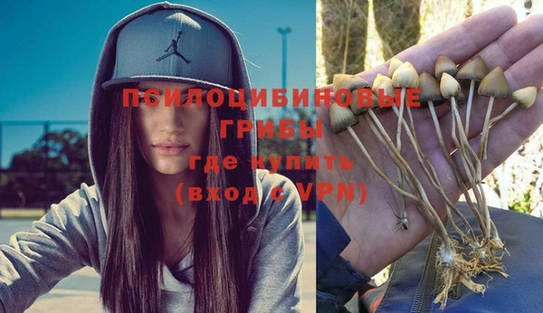 PSILOCYBIN Абинск