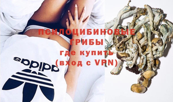 PSILOCYBIN Абинск