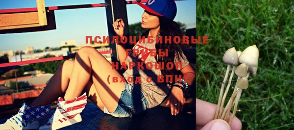 PSILOCYBIN Абинск