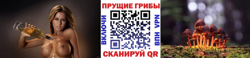 Псилоцибиновые грибы мицелий  Яранск 